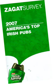 Irish pub guide