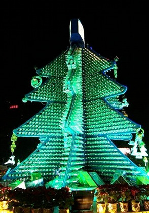 Chinese Beer Tree
