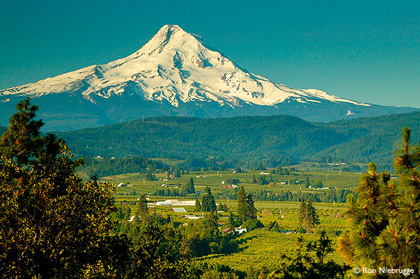 Mt. Hood