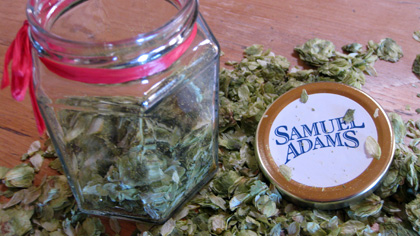 Samuel Adams Hoppy Valentine's Day basket