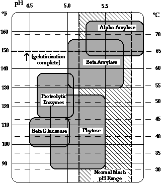 Enzchart.gif