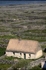 Irish Cottage